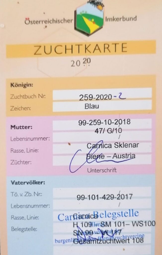 Certyfikat Matek pszczelich